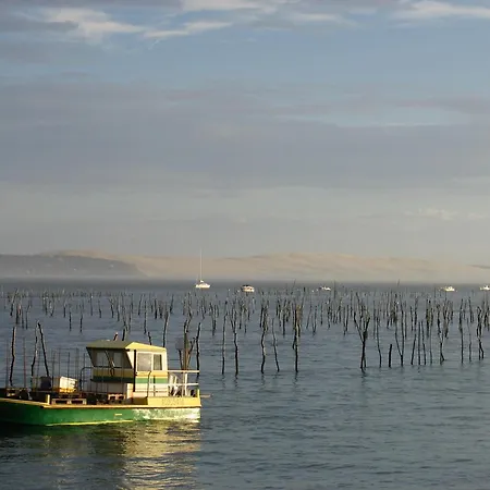 Duplex T3 Lumineux Avec Balcon, Parking Et Wifi A - Fr-1-420-140 Апартаменты Аркашон