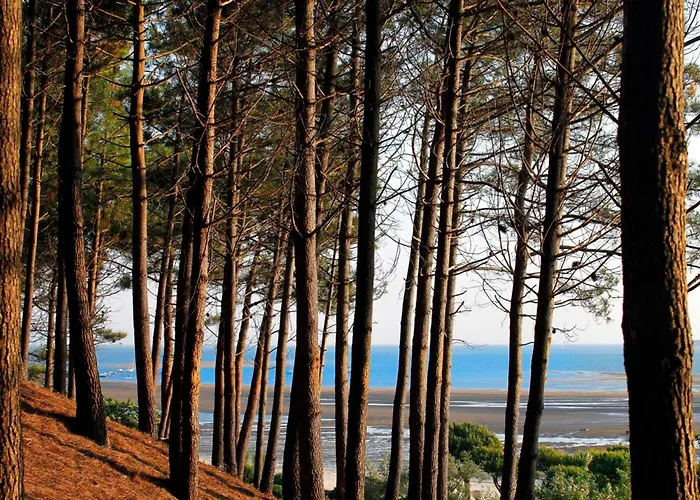 Duplex T3 Lumineux Avec Balcon, Parking Et Wifi A - Fr-1-420-140 Апартаменты