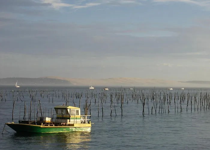 Duplex T3 Lumineux Avec Balcon, Parking Et Wifi A - Fr-1-420-140 Апартаменты Аркашон